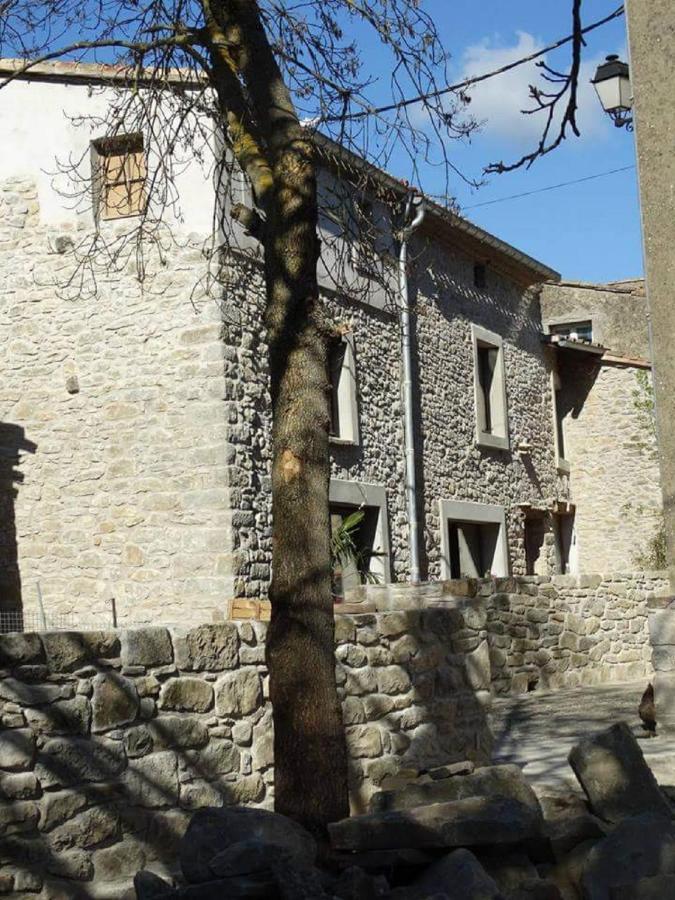 Villa Misanid Ecrin De Verdure A 15Mm De La Cite De Carcassonne Mas-des-Cours Exteriör bild